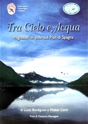 Tra Cielo e Acqua Migratori in volo sul Pian di Spagna