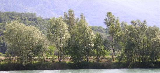 Riserva Pian Di Spagna