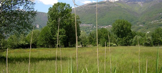 Riserva Pian Di Spagna