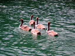 Vacanzenatura20060708