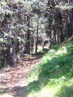 Vacanzenatura20060701