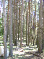 Vacanzenatura20060701