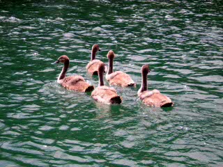 Vacanzenatura 090907