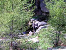 B&B VacanzeNatura