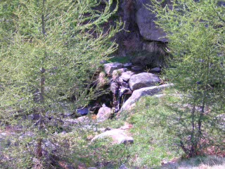 Vacanzenatura alpe di mezzo