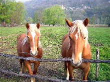 B&B VacanzeNatura